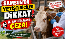 SAMSUN’DA ŞAP AŞILAMASI BAŞLADI