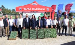 Kızılırmak Deltası’nda Kışlık Sebze Üretimine Fide Desteği