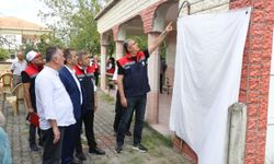 Çarşamba`da Kahverengi Kokarcaya Karşı Mücadele Kararlılıkla Sürüyor