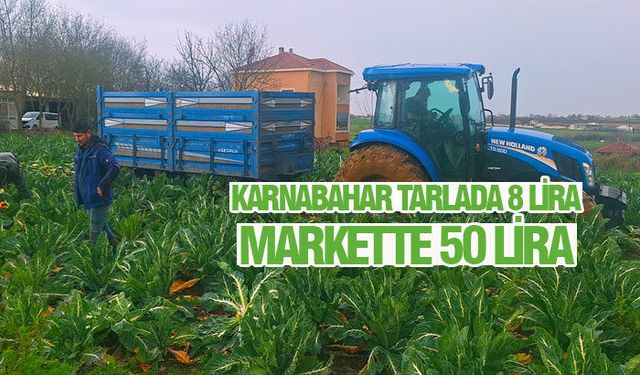 Bafra Ovası'nda Üretici Fiyat Uçurumuna Tepkili!