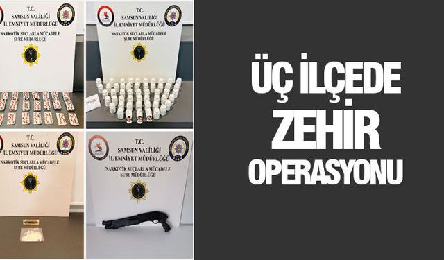 Samsun'da üç ilçede zehir operasyonu