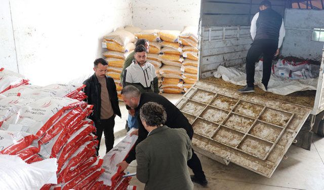 Samsun'da üreticiye tohum desteği