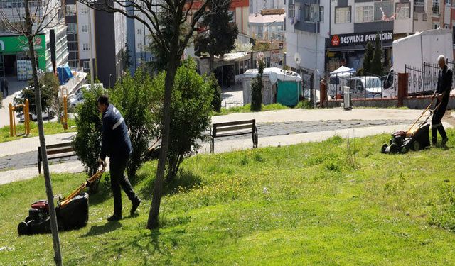 Samsun'da Yeşil Alanlarda Yaz Mesaisi Başladı