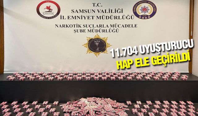 Samsun'da narkotik operasyonunda 1 gözaltı