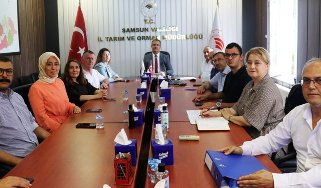 2026 Yılı Fındık Rekolte Tahmini Çalışmaları Tamamlandı