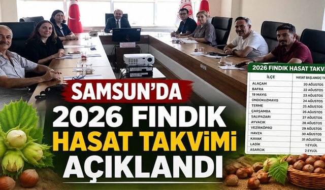 Samsun`da Fındık Hasat ve İhraç Tarihleri Belirlendi