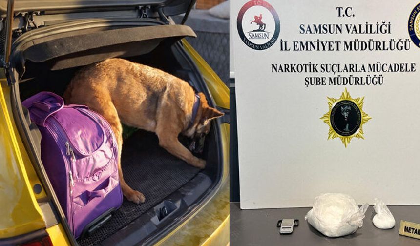 Samsun Narkotik Köpeği Pera Zulayı Buldu