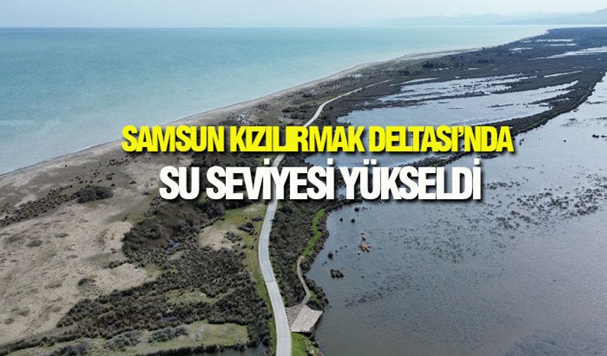 Samsun Kızılırmak Deltasında Ekosistem Yeniden Canlanıyor