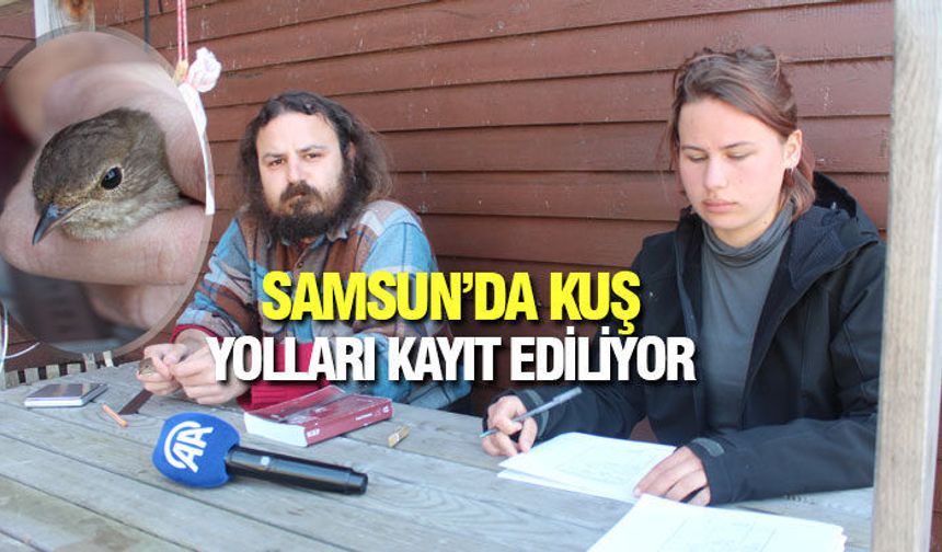 Samsun Kızılırmak Deltası’nda Göç Mesaisi