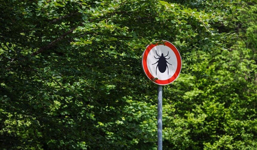 Kene Isırığında Erken Müdahale Hayat Kurtarıyor