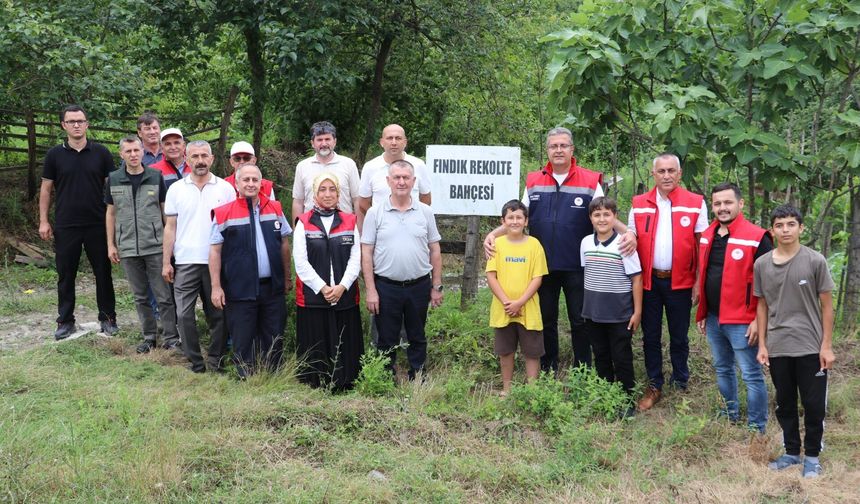 Samsun’da 2026 Fındık Rekolte Mesaisi Sürüyor
